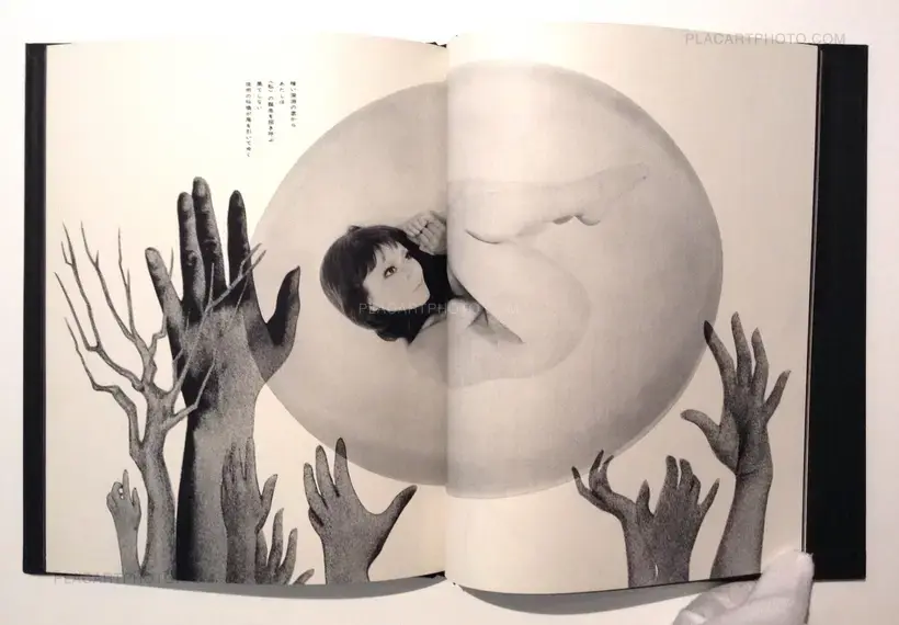 Akira Suzuki – Les Fleurs du Mal - Réhabilitation par mon sexe