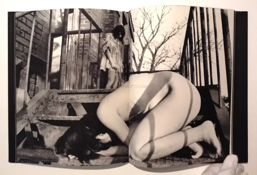 Akira Suzuki – Les Fleurs du Mal - Réhabilitation par mon sexe