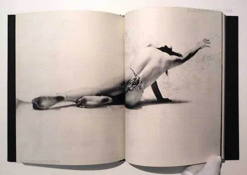 Akira Suzuki – Les Fleurs du Mal - Réhabilitation par mon sexe