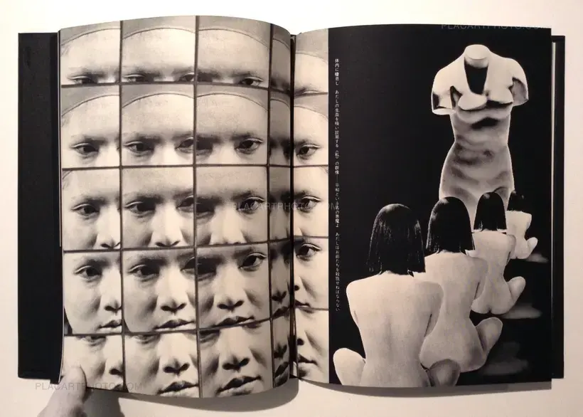 Akira Suzuki – Les Fleurs du Mal - Réhabilitation par mon sexe