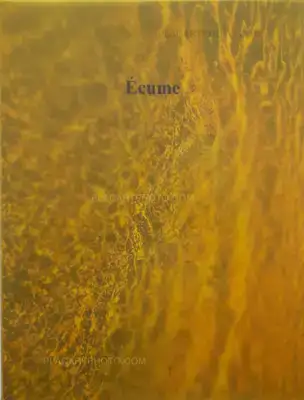 Isidora Gajic – Ecume