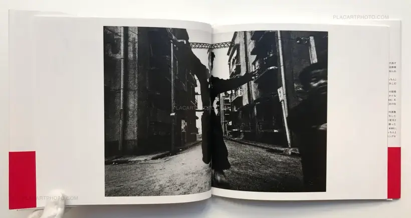 Nobuyoshi Araki – Sachin