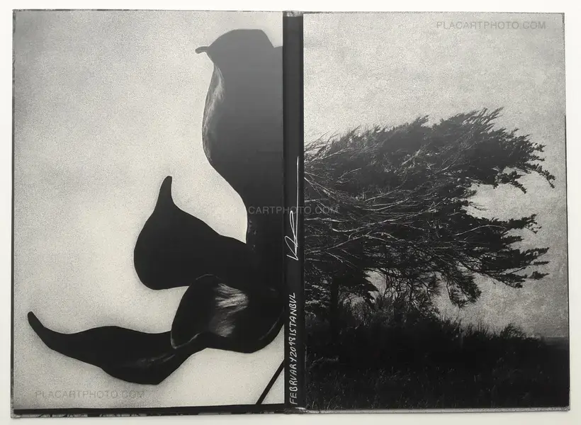 Yusuf Sevinçli – Oculus (SIGNED)