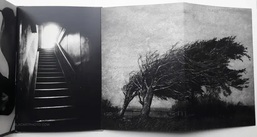 Yusuf Sevinçli – Oculus (SIGNED)