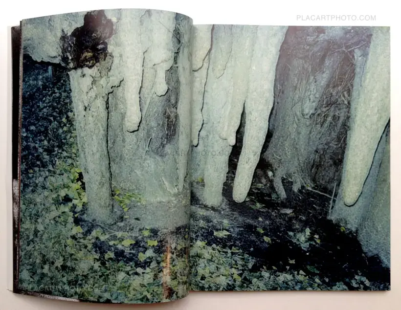 Daisuke Yokota – Taratine (Signed)