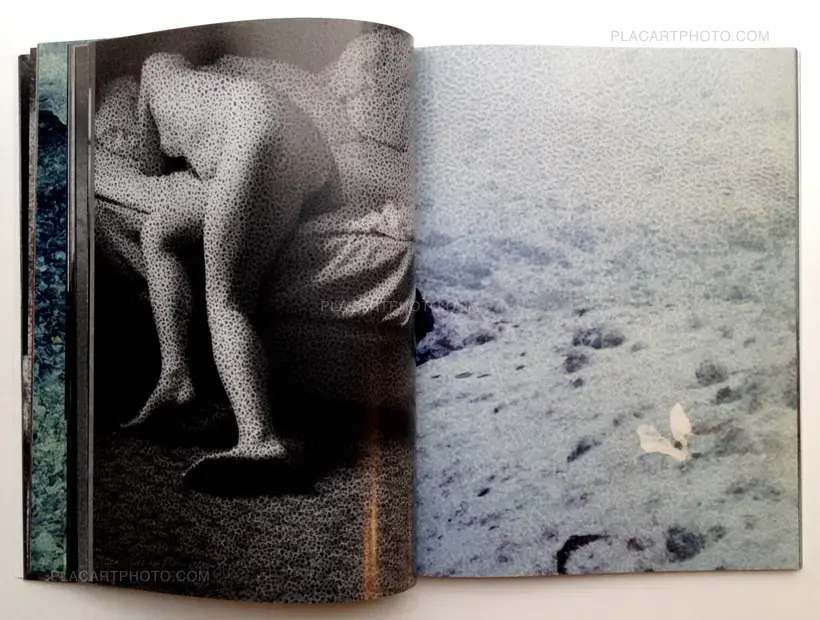 Daisuke Yokota – Taratine (Signed)