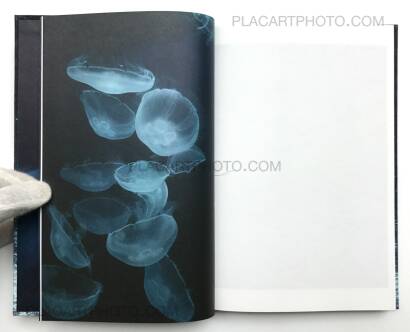 H&eacute;l&egrave;ne David ,Noces ou les confins sauvages