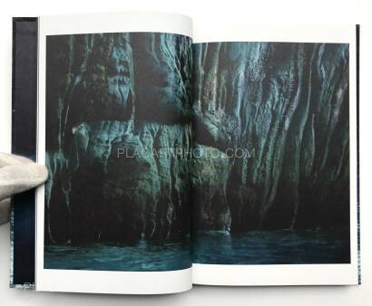 H&eacute;l&egrave;ne David ,Noces ou les confins sauvages