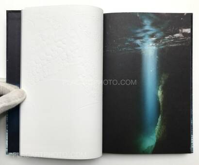 H&eacute;l&egrave;ne David ,Noces ou les confins sauvages