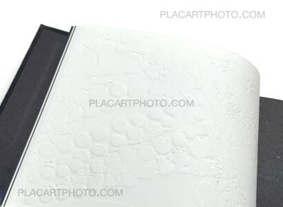 H&eacute;l&egrave;ne David ,Noces ou les confins sauvages