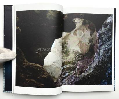 H&eacute;l&egrave;ne David ,Noces ou les confins sauvages