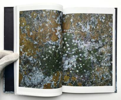 H&eacute;l&egrave;ne David ,Noces ou les confins sauvages