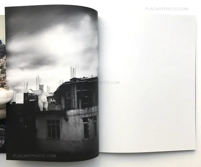 Susanne Otterberg – Resort