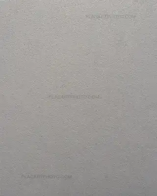 Miho Kajioka – And where did the peacocks go ? (Regular edition of 400 copies) SIGNED