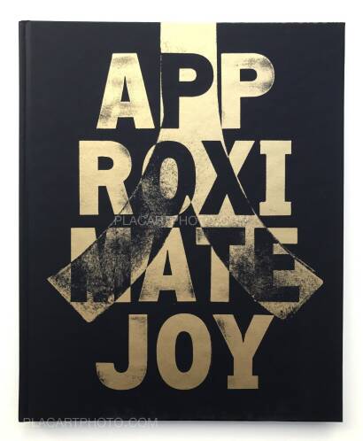 Christopher Anderson,APPROXIMATE JOY