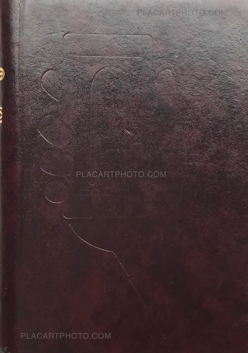 Lukas Birk – 11) The Penis and Vagina Selfie Book