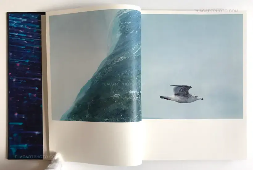Rinko Kawauchi – Illuminance (Signed)