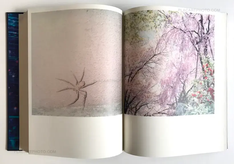 Rinko Kawauchi – Illuminance (Signed)