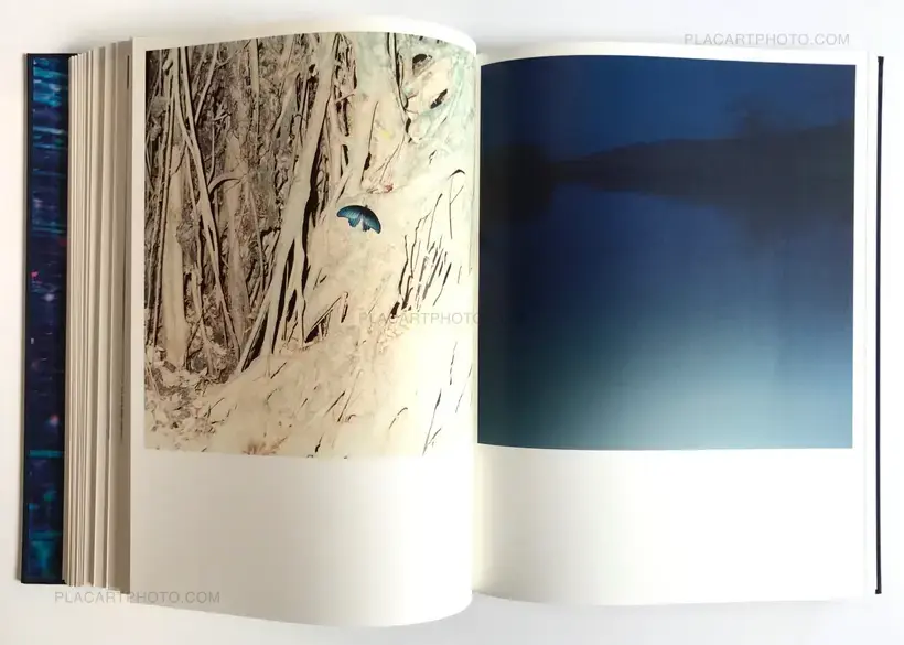 Rinko Kawauchi – Illuminance (Signed)