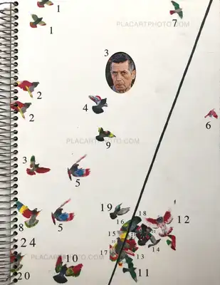 Ricardo Cases – Paloma al aire