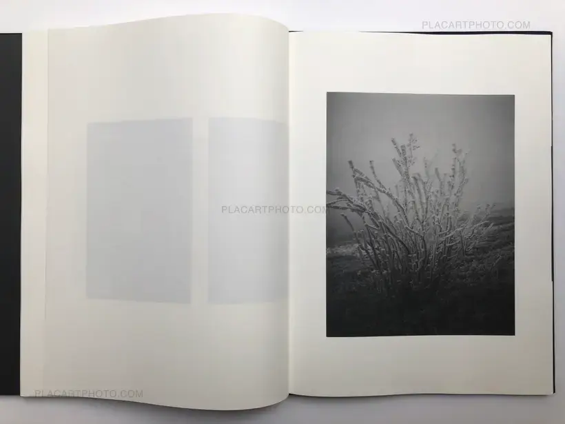 Agata Grzybowska – 9 GATES OF NO RETURN