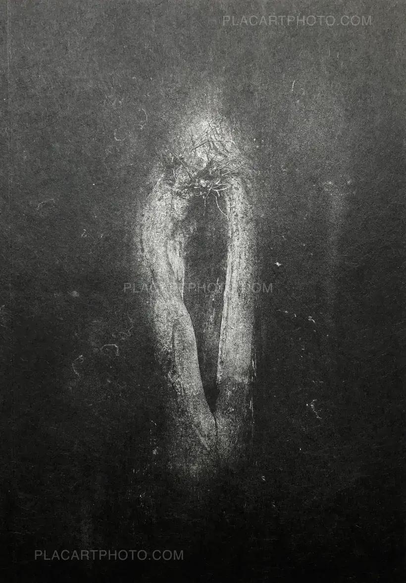 Dimitra Dede – Mayflies