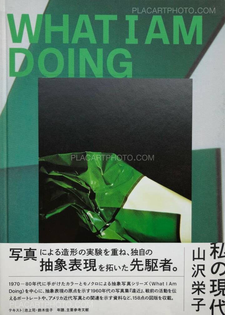 Eiko Yamazawa What I Am Doing Akaaka 19 Bookshop Le Plac Art Photo