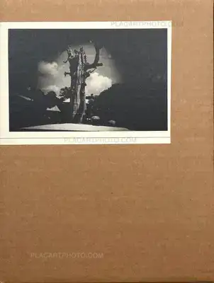 Valentino Barachini – FINCHÈ TORNERAI TERRA (100 copies numbered and signed)