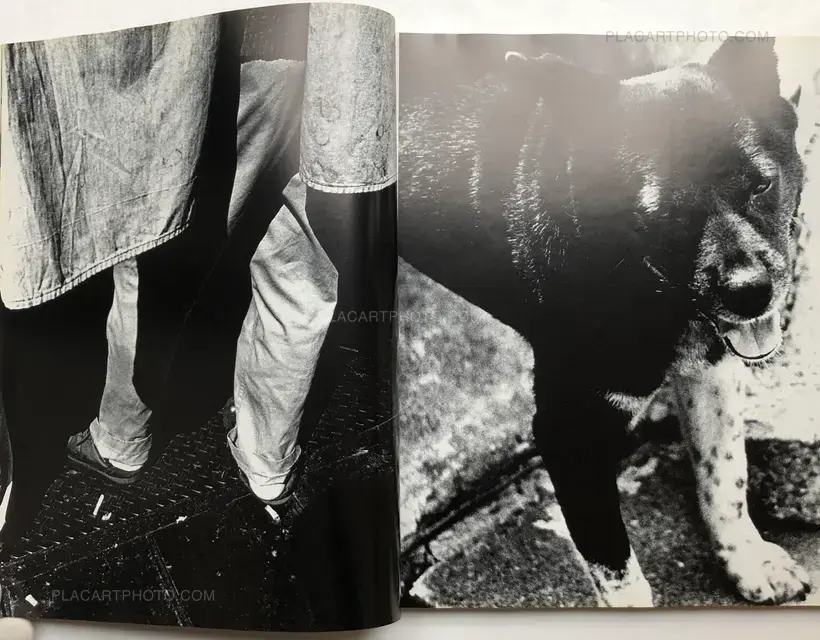 Daido Moriyama – Hysteric N°8