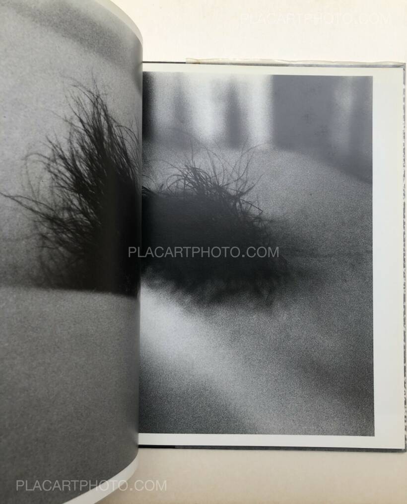 Daido Moriyama: Imitation (signed), Takashi Ishii, 1995 | Bookshop