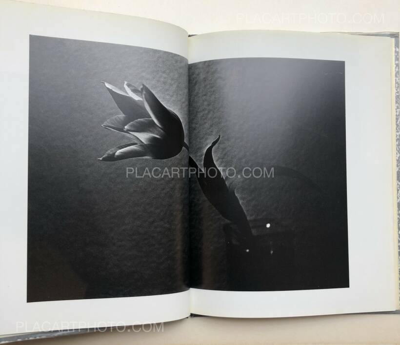 Daido Moriyama: Imitation (signed), Takashi Ishii, 1995 | Bookshop Daido Moriyama: Imitation (signed), Takashi Ishii, 1995 | Bookshop