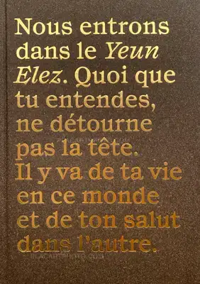 Stéphane Lavoué – LES ENCHANTEURS