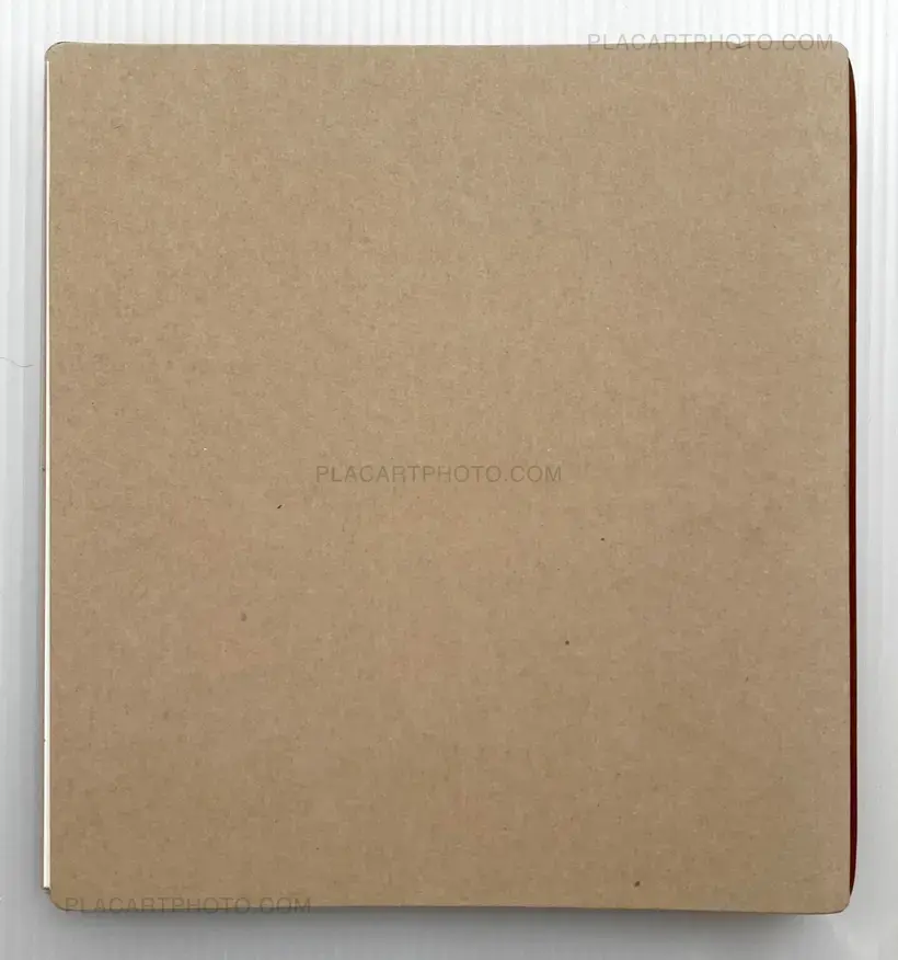 Aurelija Maknytė – BURNING SLIDES (Signed)