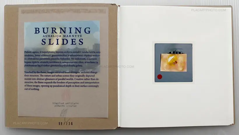 Aurelija Maknytė – BURNING SLIDES (Signed)