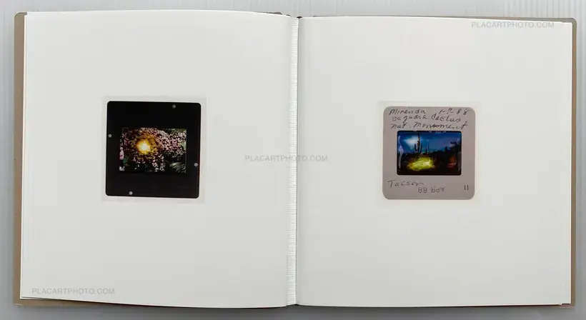 Aurelija Maknytė – BURNING SLIDES (Signed)