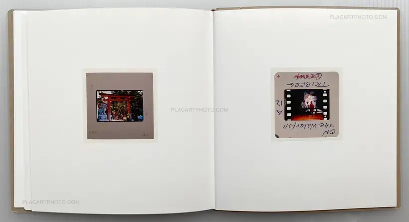 Aurelija Maknytė – BURNING SLIDES (Signed)