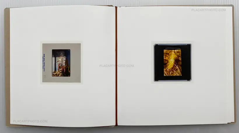 Aurelija Maknytė – BURNING SLIDES (Signed)