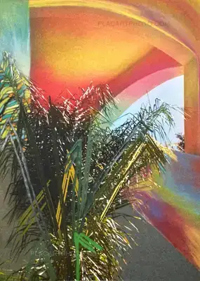 Sam Falls – Paint Paper Palms