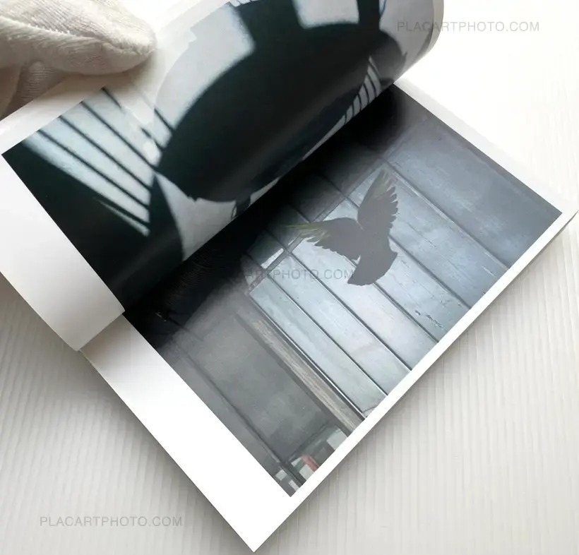 Morten Andersen – Stock