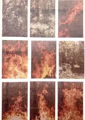Peter Sutherland – FLAMES