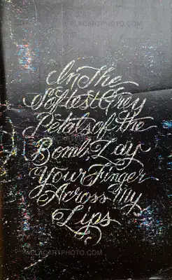 Dash Snow – In the Softest Grey Petals of the Bomb, Lay Your Finger Across My Lips