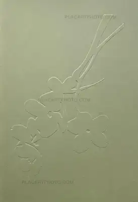 Yoshinori Mizutani – Sakura