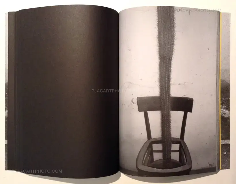 Attilio Solzi – Taedium