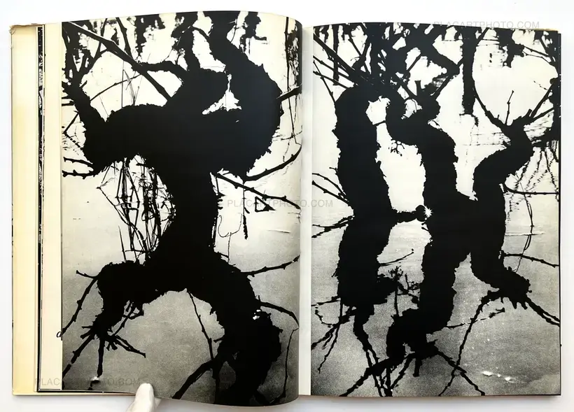 Lucien Clergue – Camargue Secrète (ASSOCIATION COPY)