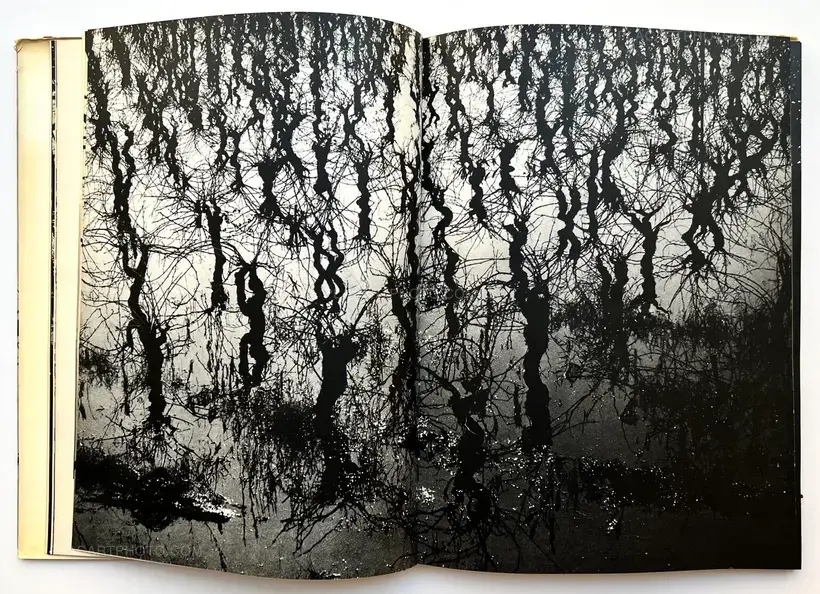 Lucien Clergue – Camargue Secrète (ASSOCIATION COPY)