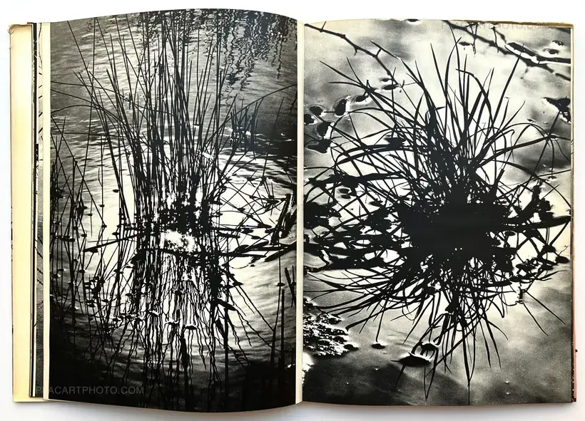 Lucien Clergue – Camargue Secrète (ASSOCIATION COPY)