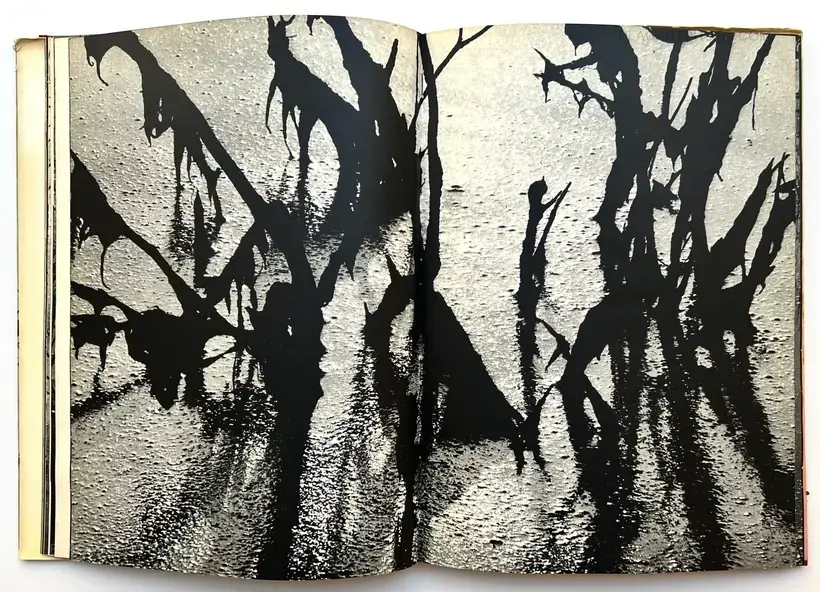 Lucien Clergue – Camargue Secrète (ASSOCIATION COPY)
