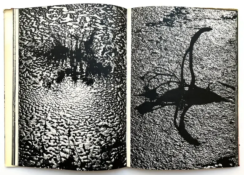 Lucien Clergue – Camargue Secrète (ASSOCIATION COPY)