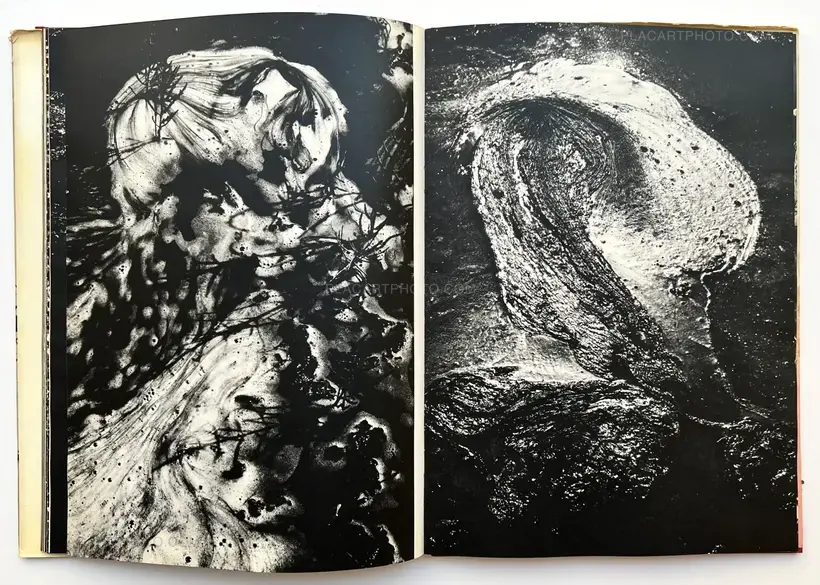 Lucien Clergue – Camargue Secrète (ASSOCIATION COPY)