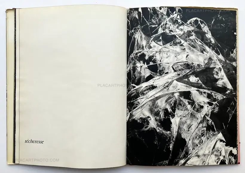 Lucien Clergue – Camargue Secrète (ASSOCIATION COPY)